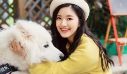 娱乐圈吃瓜兔子是谁啊百度云,揭秘神秘网络红人背后故事